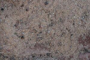 a close up of a skateboard on a concrete surface photo