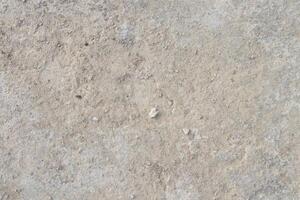 a close up of a small rock on a concrete surface photo