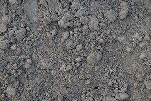 a close up of a dirt wall with some rocks photo