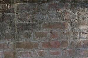 un hombre es en pie en un pared con un patineta foto