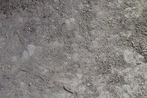 a close up of a dirt wall with some rocks photo