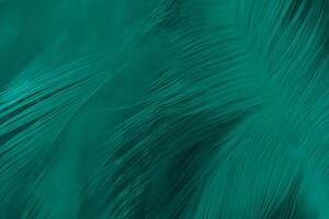 Beautiful dark green turquoise vintage color trends feather texture background photo