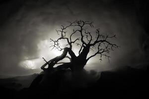 silueta de de miedo Víspera de Todos los Santos árbol en oscuro brumoso tonificado antecedentes con Luna en espalda lado. foto