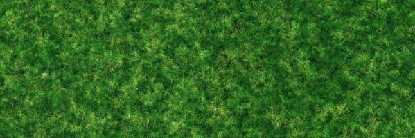 Green grass, background in the form of grass texture ,, 3d rendering photo