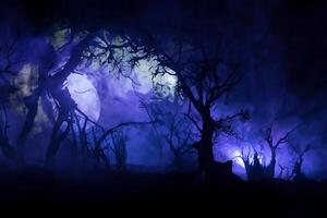 Spooky dark landscape showing silhouettes of trees in the swamp on misty night. Night mysterious landscape in cold tones - silhouettes of the bare tree branches against the full moon photo