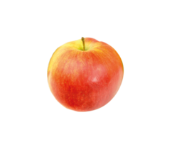 Fresco manzana aislado. con recorte camino. png