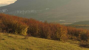 schön Aussicht von klein Strand Stadt, Dorf von das oben von das Berg bedeckt durch Gebüsch auf Blau wolkig Himmel Hintergrund. Schuss. Antenne zum Herbst Landschaft von ein Küsten Stadt, Dorf im ein sonnig Tag von hoch hügel. video