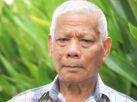 Portrait of a senior Asian man looking at the camera while standing in the garden photo