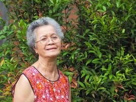 Elderly Asian woman smiling and looking at the camera while standing in a garden. Space for text. Concept of aged people and healthcare. photo