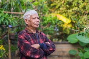 Portrait of senior Asian man arms crossed and looking up while standing in the garden. Concept of aged people and healthcare photo