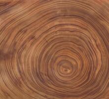 brown background and texture Cross section of tree trunk showing growth rings photo