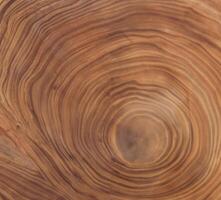 brown background and texture Cross section of tree trunk showing growth rings photo