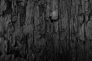 fondo de textura de madera negra en blanco para el diseño foto