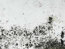 white dirty wall with mold photo