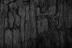 fondo de textura de madera negra en blanco para el diseño foto