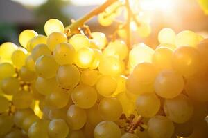 AI generated Grapes fruit background photo