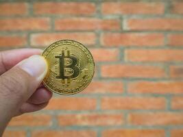 Close-up of woman hand holding a golden bitcoin coin with brick wall background photo