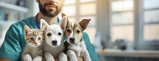 AI Generated Veterinary professional holding a kitten and two puppies, with a blurred background. Doctor in veterinary clinic with animals. Panorama with copy space. photo