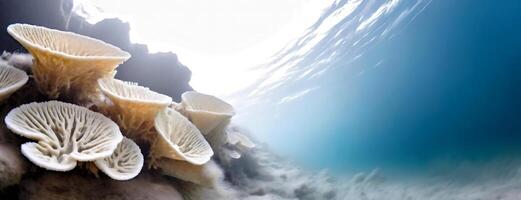 AI Generated The oceans bed lies strewn with the bleached remains of corals, a stark reminder of environmental neglect. Underwater graveyard of coral reef, a poignant testament to the ocean's distress photo