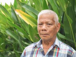 Portrait of senior man smiling and looking at camera while standing in a garden photo