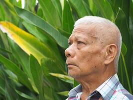 Side view of an elderly man looking up while standing in a garden photo