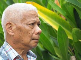 lado ver de cara mayor hombre mirando arriba mientras en pie en un jardín foto