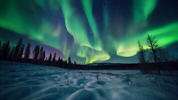 ai generato il aurora Borealis è visto nel il cielo sopra un' foresta video