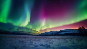 ai généré le aurore borealis est vu dans le ciel au dessus une forêt video