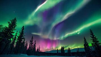 ai généré le aurore borealis est vu dans le ciel au dessus une forêt video