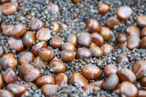 Pile of chestnuts for sale in the market photo