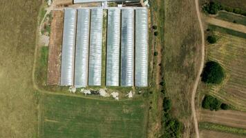 drone en volant plus de une industriel serre avec des légumes. moderne agriculture. video