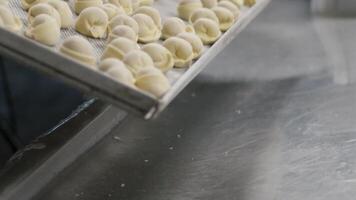 Meat dumplings are being dropped to a tray which is located in a container and is later being removed. Ready-made falling dumplings with meat video