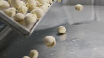 gerade fertig Knödel fliegen von Tablett zu Tisch. fliegend Knödel im schleppend Bewegung. Sieden von ein Knödel im schleppend Bewegung. Fleisch Knödel sind Sein fallen gelassen zu ein Tablett welche ist gelegen im ein Container video