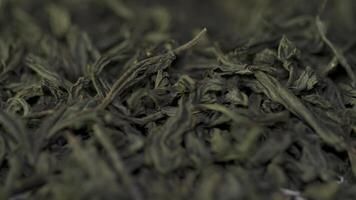 Dry tea, dried leaves. Black tea leaves background. dry leaf green tea on a white background. Pile of dry tea, close up video