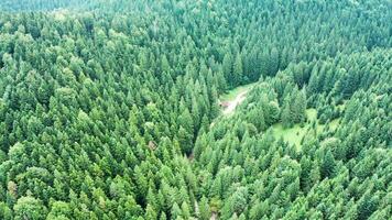 aéreo cena a partir de zangão sobre a montanhas com verde floresta. video