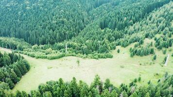 dar vlucht over- berg met groen Woud. natuurlijk park. video