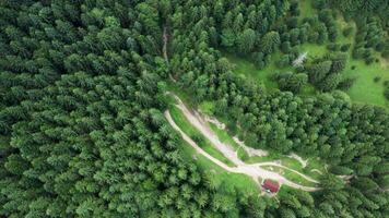 Drohne fliegend über Grün Wald im das Berge. natürlich Park. video