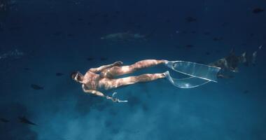 Frau auf Ferien schwimmt mit das Haie und tropisch Fisch im Blau Meer auf Malediven Atoll video