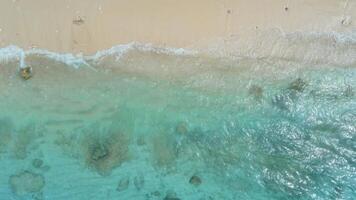 Sandy beach and turquoise ocean with waves in sunny day. Aerial view. Top view video