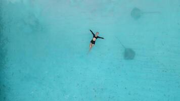 mujer nadando con mantarraya en Maldivas. picadura rayo peces nadando en azul océano, aéreo ver video