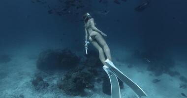 Woman freediver glides and swimming with Nurse sharks and fishes in blue ocean in the Maldives. video