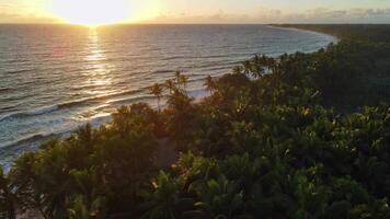 tropisch oceaan kustlijn met palmen en warm zonsopkomst of zonsondergang tonen in Maldiven video