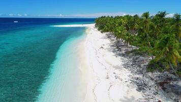 Maldives islands, tropical beach with palms on a sunny day and blue ocean. Aerial view between the palm trees video