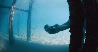 mujer apneísta nadando submarino en azul mar. hembra buceo libre con aletas debajo el muelle video