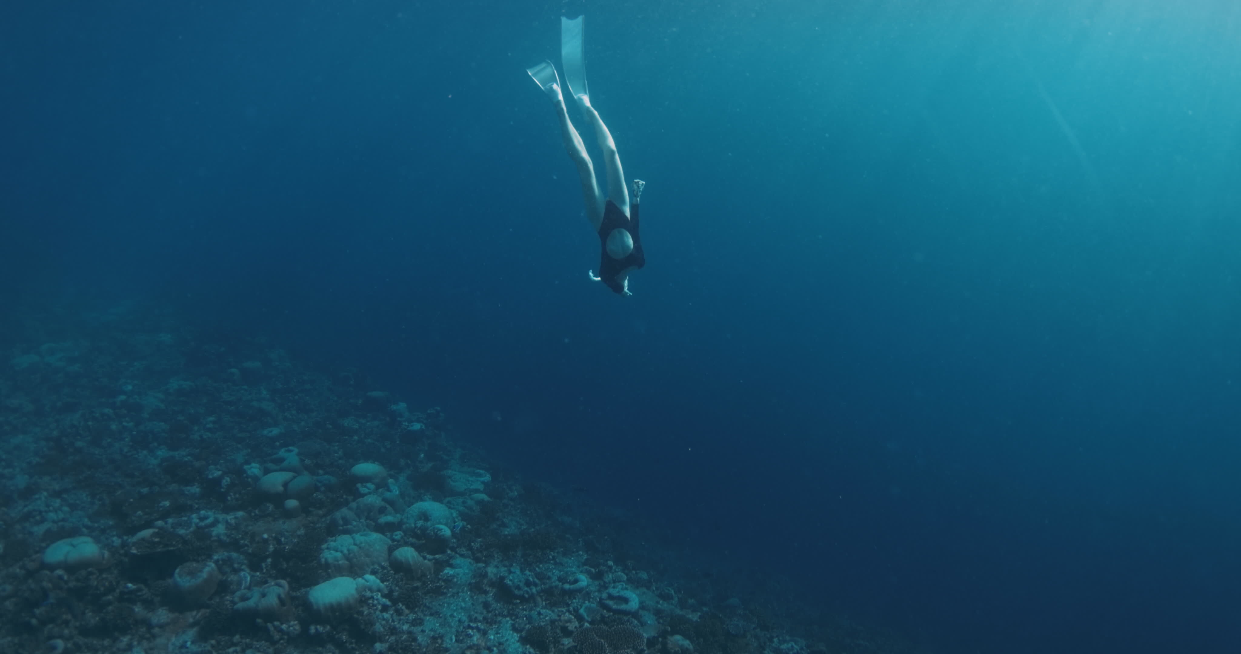 Deep Diving Stock Video Footage for Free Download Deep Diving Stock Video Footage for Free Download