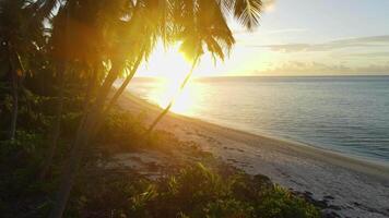 paraíso tropical playa en Maldivas isla con puesta de sol luz solar. verano y viaje vacaciones concepto. aéreo ver video