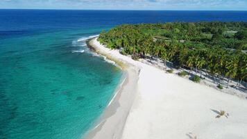 tropisch Ferien Insel mit Strand, Palmen und Ozean. Antenne Drohne Aussicht video