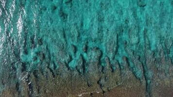 top visie van tropisch oceaan in Maldiven. antenne visie van zee oppervlakte video