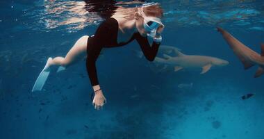 vrouw freediver resting Aan de oppervlakte van de oceaan en op zoek Bij haaien in een tropisch blauw zee Bij Maldiven video