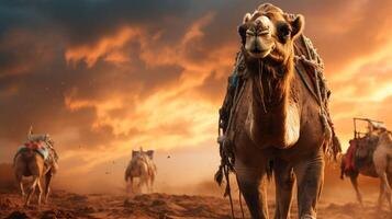 AI generated camel high quality image photo